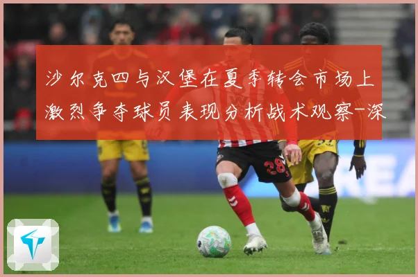 沙尔克四与汉堡在夏季转会市场上激烈争夺球员表现分析战术观察-深度解析