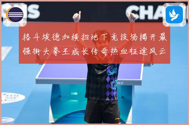 格斗埃德加横扫地下竞技场揭开最强街头拳王成长传奇热血征途风云录解析-深度解析