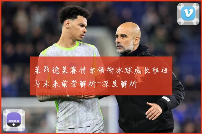 莱昂德莱赛特尔领衔冰球成长轨迹与未来前景解析-深度解析