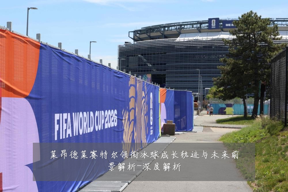 莱昂德莱赛特尔领衔冰球成长轨迹与未来前景解析-深度解析