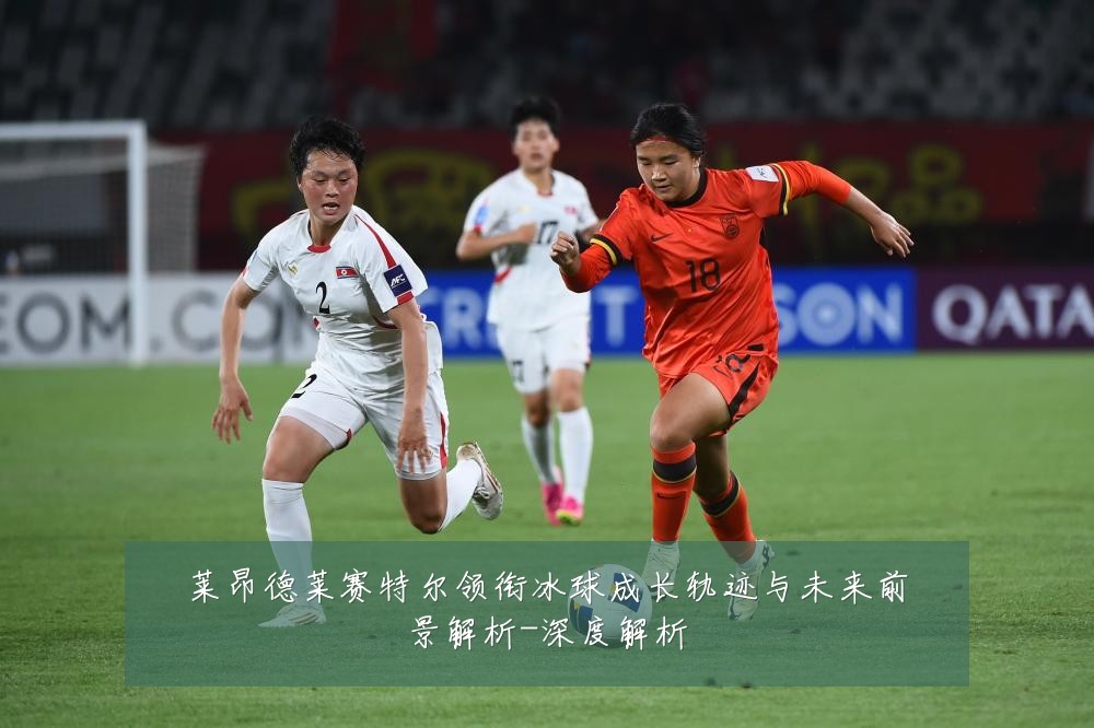 莱昂德莱赛特尔领衔冰球成长轨迹与未来前景解析-深度解析